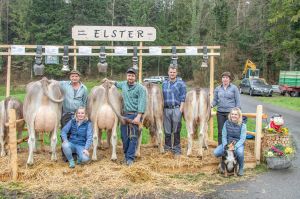 Durrer-Burch Hans Kerns Fantastic ELSTER 78 Pkt